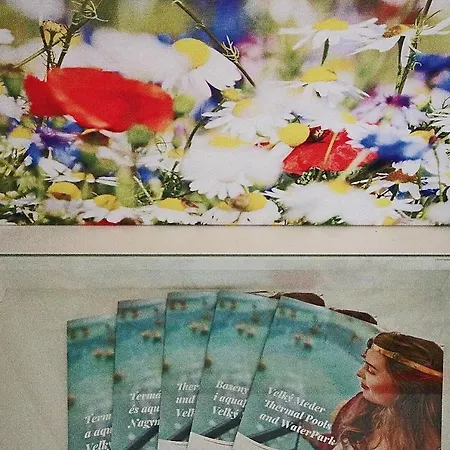 Jediny Domcek * Veľký Meder